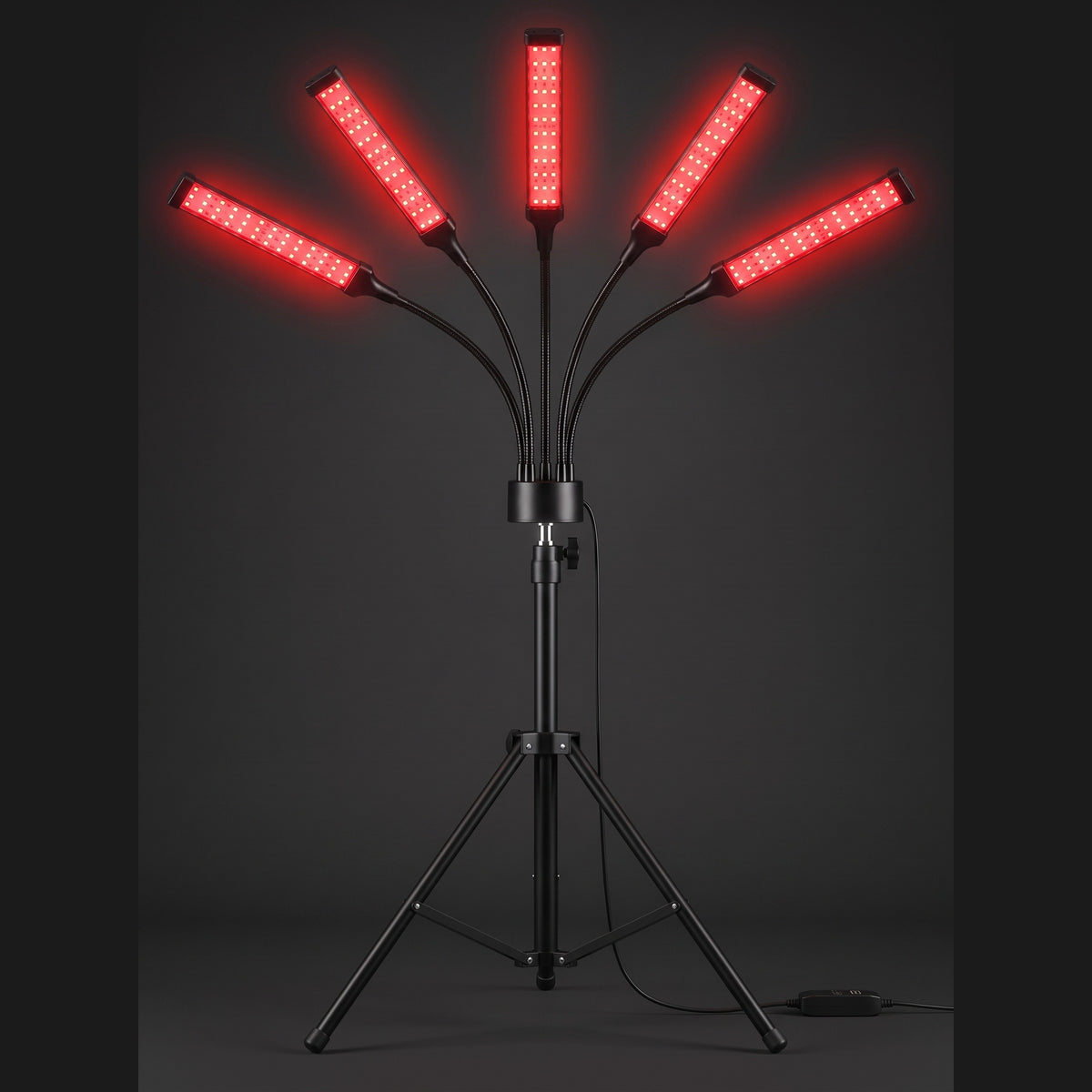 Lantern