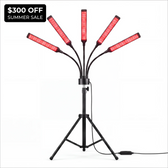 Red Light Therapy Lantern