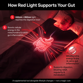 How red light supports your gut
