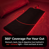 360 degree coverage for your gut