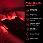 7 gut health benefits