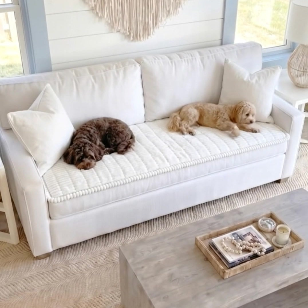 Two small dogs napping on a straight white seat pad with matching pillows